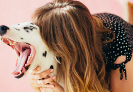 Alla spa con il cane